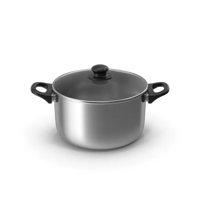 Stainless Cooking Pot with Glass Lid