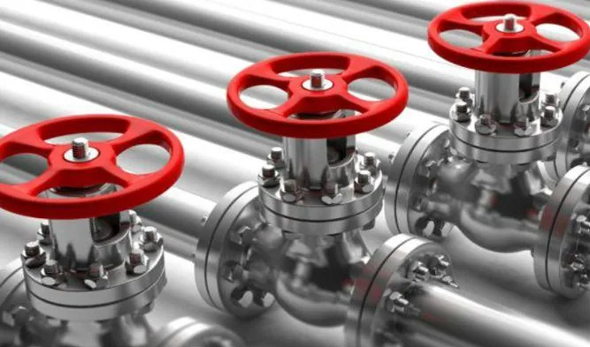 SS Gate / Globe Valve